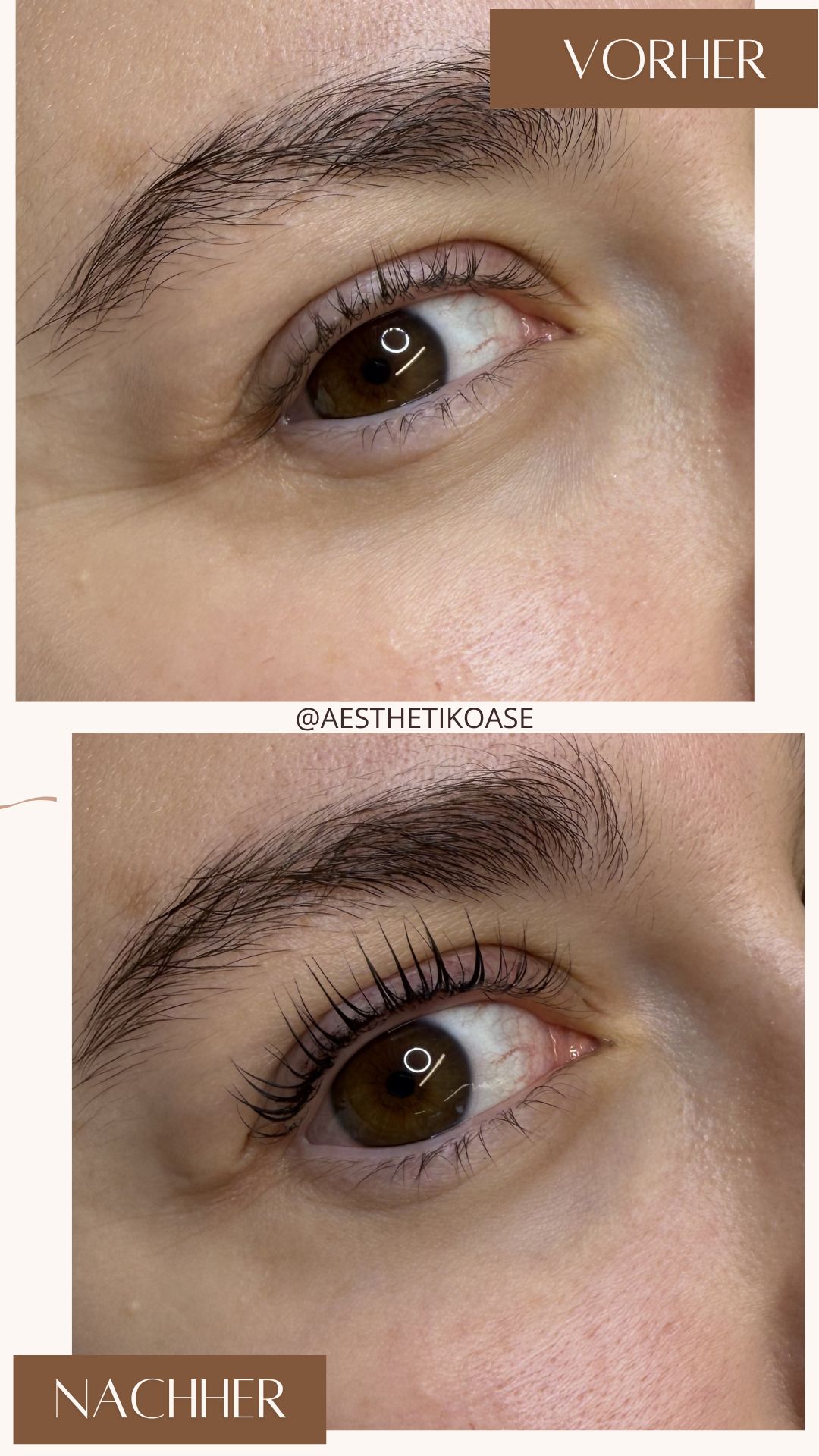 Wimpernlifting — Vorher und Nachher, echte Kundin